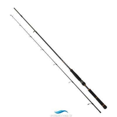 Daiwa BG Seabass 244cm 14-42g Spin Kamışı - 1