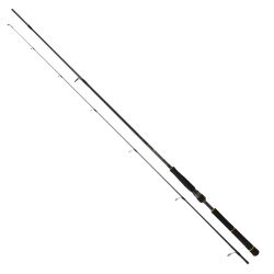 Daiwa New Bg Seabass 250cm 10-35gr Spin Olta Kamışı - 1