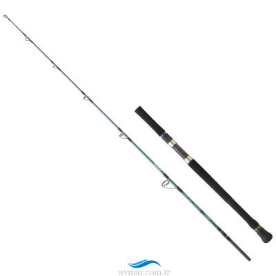 Daiwa Grandwave 168cm 15-50g 2p Jig Kamışı - 1