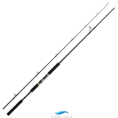 Daiwa Jig Caster MX96M 290cm 10-60g Spin Kamışı - 1