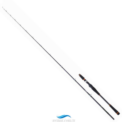 Daiwa Legalis Boat Game 208cm 40-160g Tai Rubber Baitcasting Kamış - 1