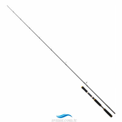 Daiwa Legalis Seabass 2.21m 28-84gr 1+1 Kamış - 1