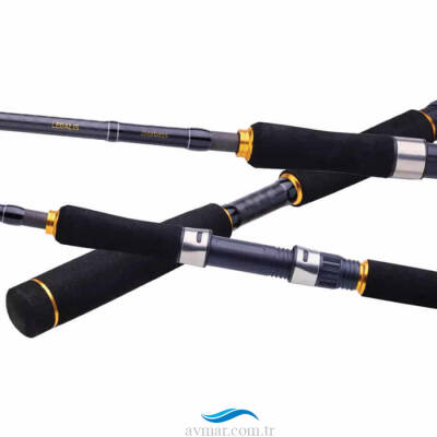 Daiwa Legalis Seabass 2.21m 28-84gr 1+1 Kamış - 2