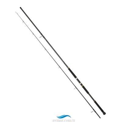 Daiwa New Legalis Seabass 290cm 28-84g Shore Jig Kamışı - 1