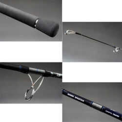 Daiwa Shore Spartan Coastal 290cm 40-120g Shore Jig Kamışı - 2