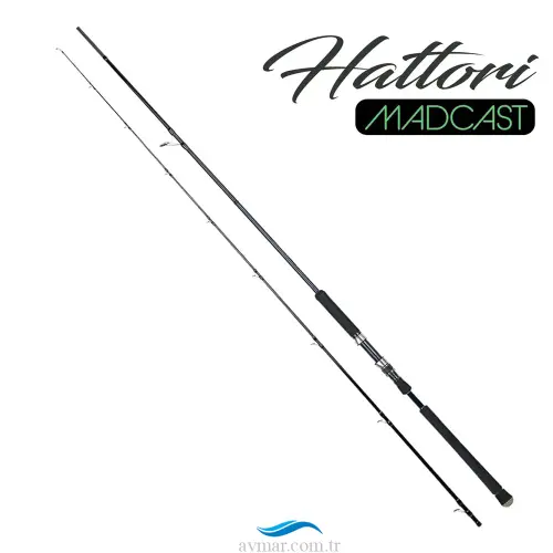 Fujin Madcast 290cm 20-80gr Shore Jig Kamışı