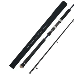 Fujin Madcast 290cm 20-80gr Shore Jig Kamışı - 2