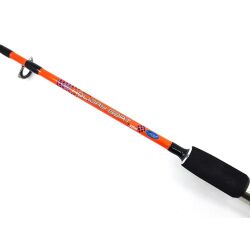 Kendo Holiday Boat 165cm 100-250gr 2P Bot Kamışı - 2