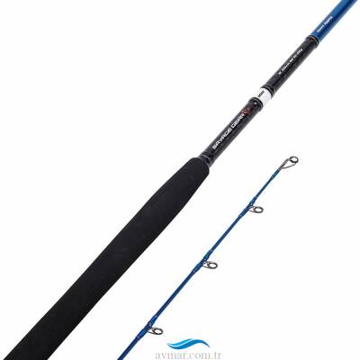 Savage Gear SGS2 Shore Jigging 290cm 20-80g Olta Kamışı - 2