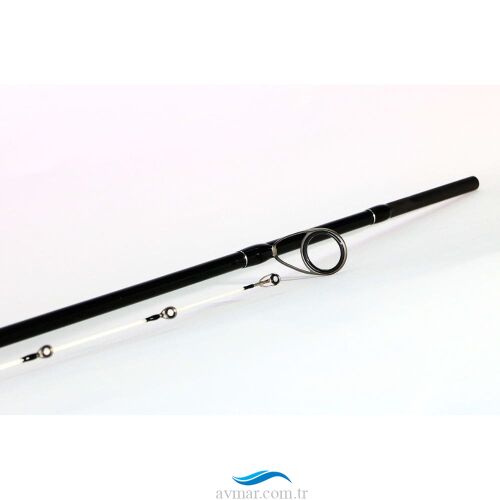 Shimano Bassterra Sea Bass 289cm 15-60gr Spin Olta Kamışı - 3