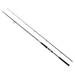 Shimano Bassterra XT Shore Jigging 305cm 30-100gr Olta Kamışı - 1