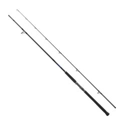 Shimano Currentsniper BB Shore Jigging 305cm 65gr Jig 85gr Olta Kamışı - 1